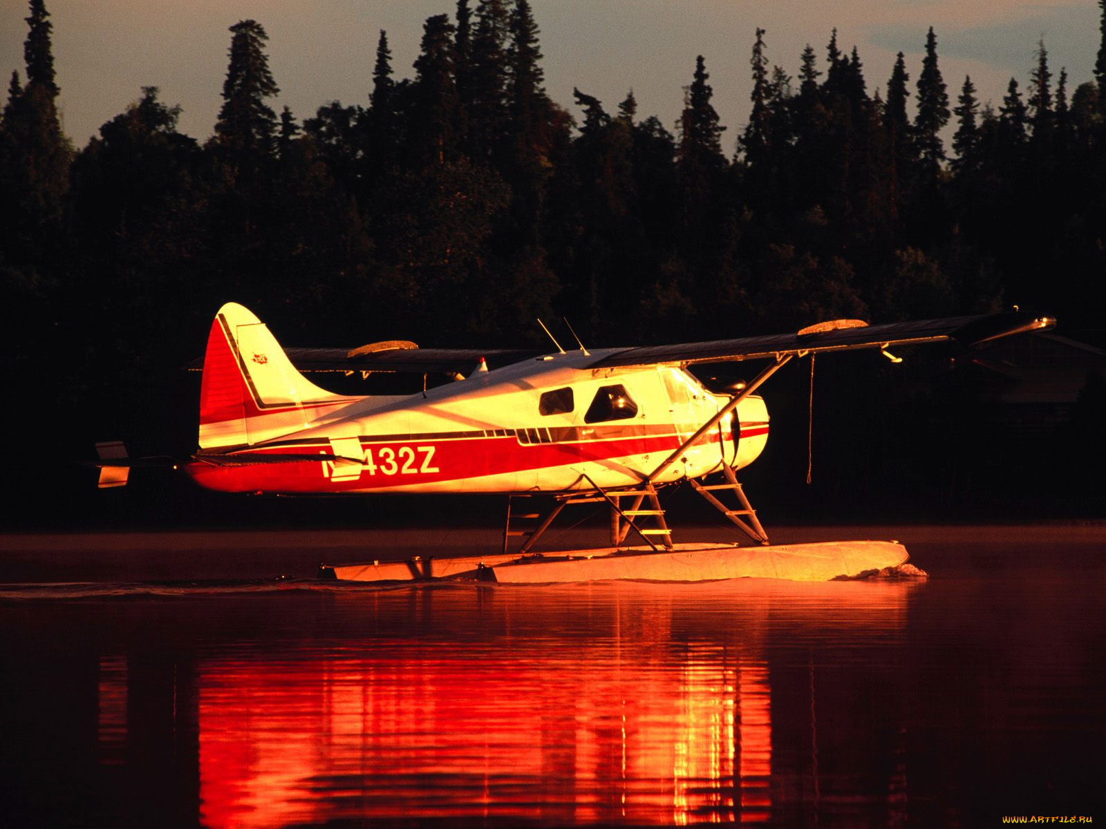 beaver, floatplane, kenai, penisula, alaska, , , 